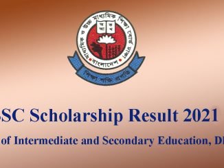ssc scholarship result 2021 dhaka board