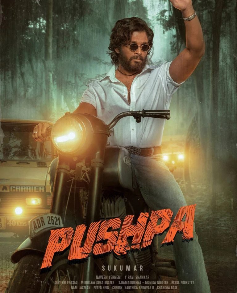 pushpa 2 full movie download in hindi filmyzilla filmywap